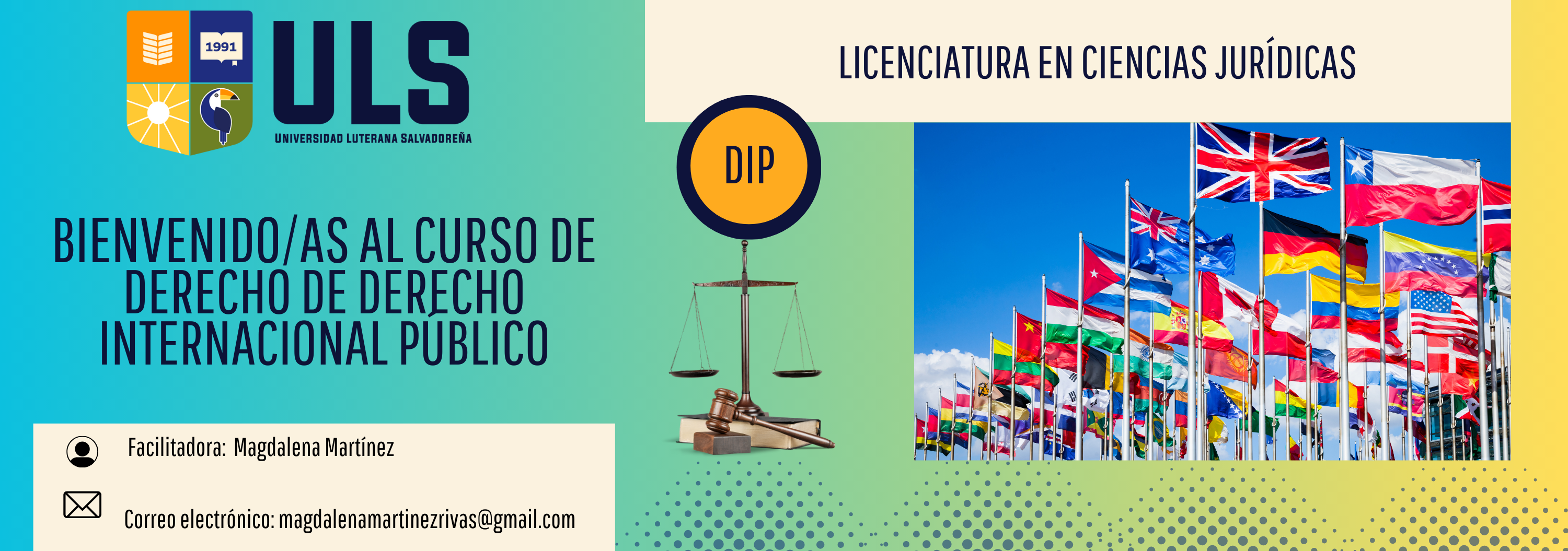 Derecho Internacional Público. Miércoles: 4:00pm a 5:40pm y 6:00pm a 7:40pm. Ciclo II-2024.