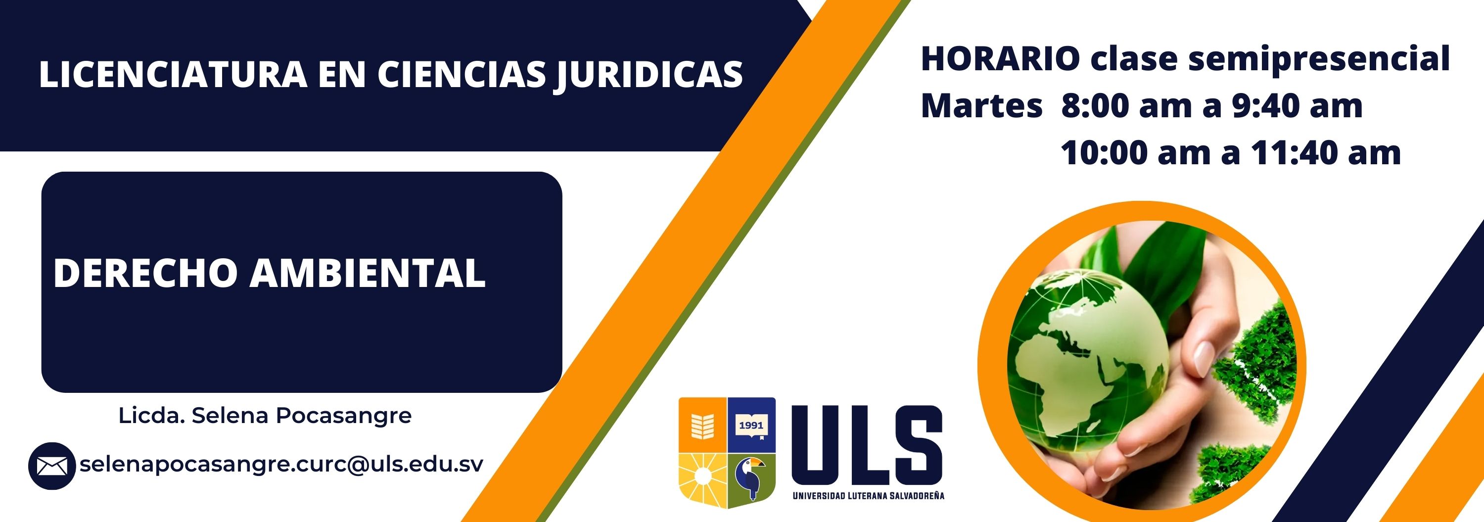 Derecho Ambiental martes de 8:00am a 9:40am y 10:00am a 11:40 am ciclo I-2025