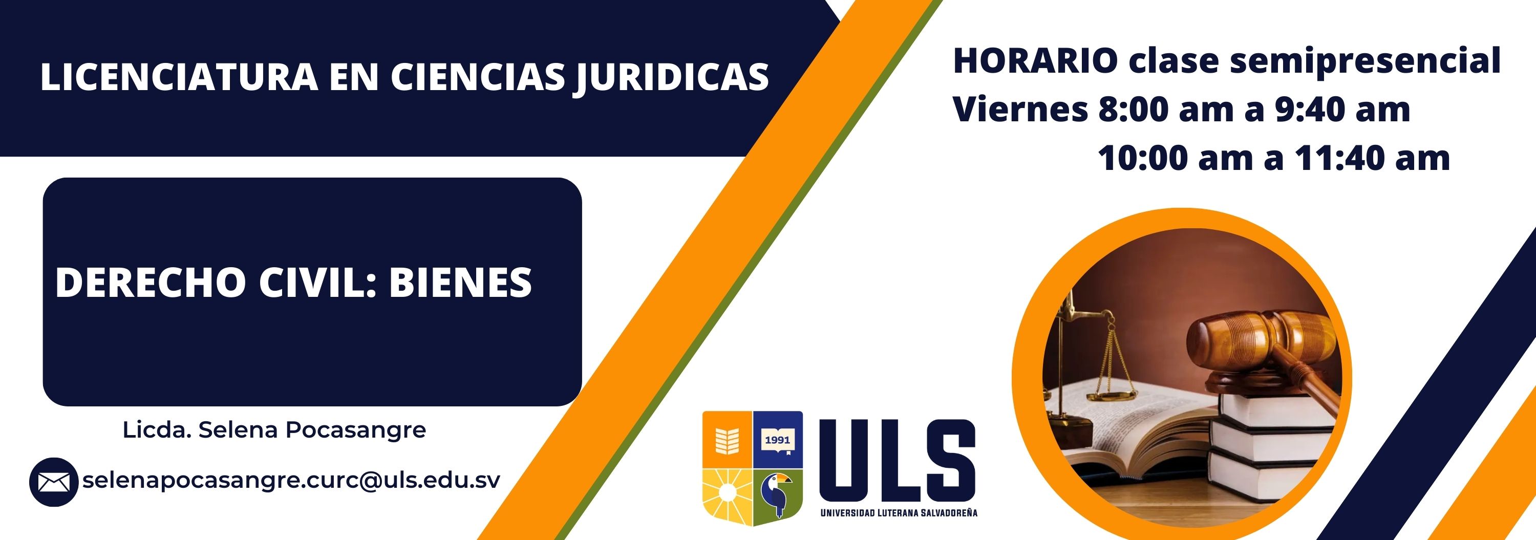 Derecho Civil: Bienes viernes de 8:00am a 9:40am y 10:00am a 11:40am ciclo I-2025